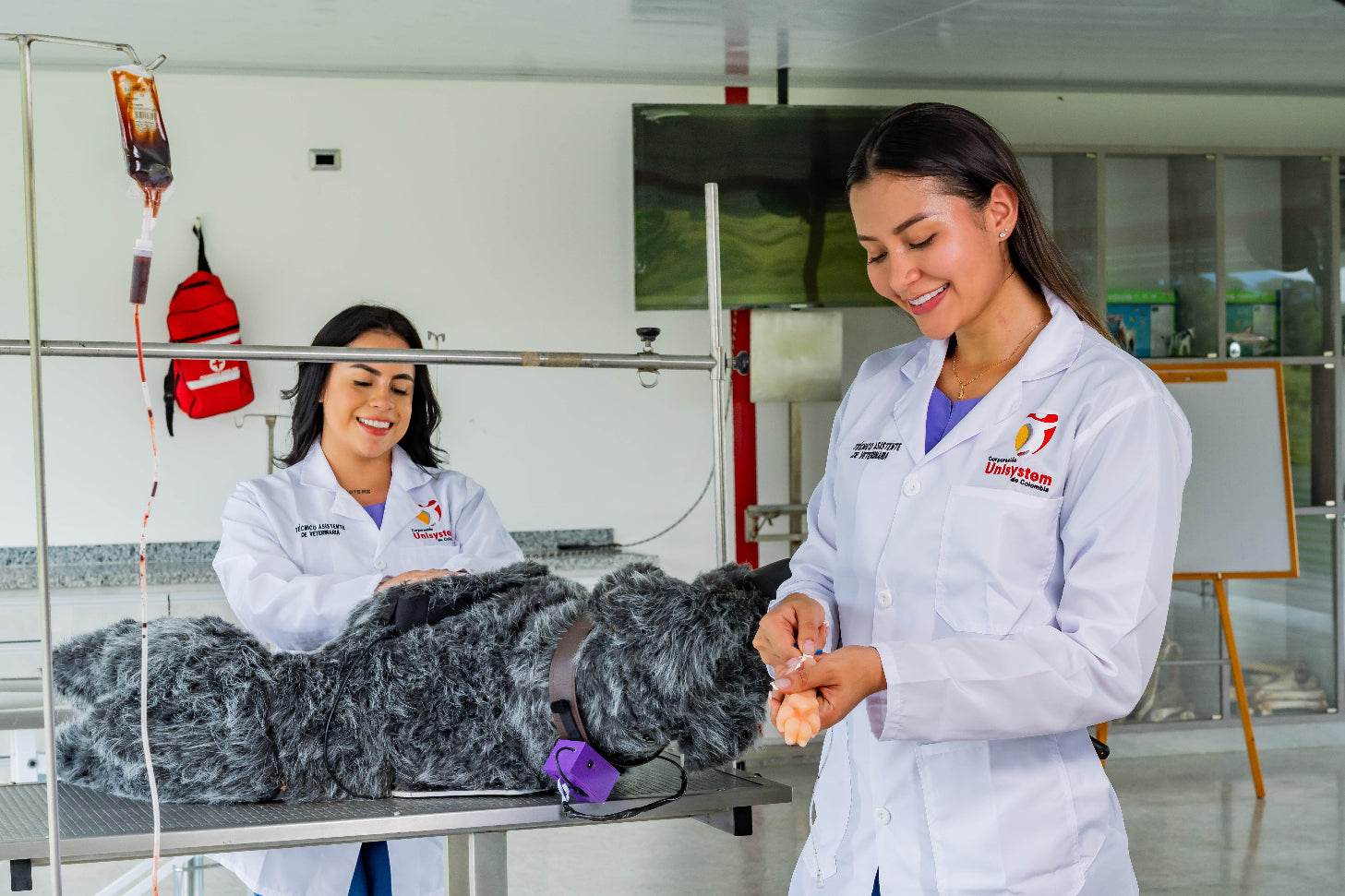 Laboratorio de veterinaria técnico laboral Unisystem Villavicencio