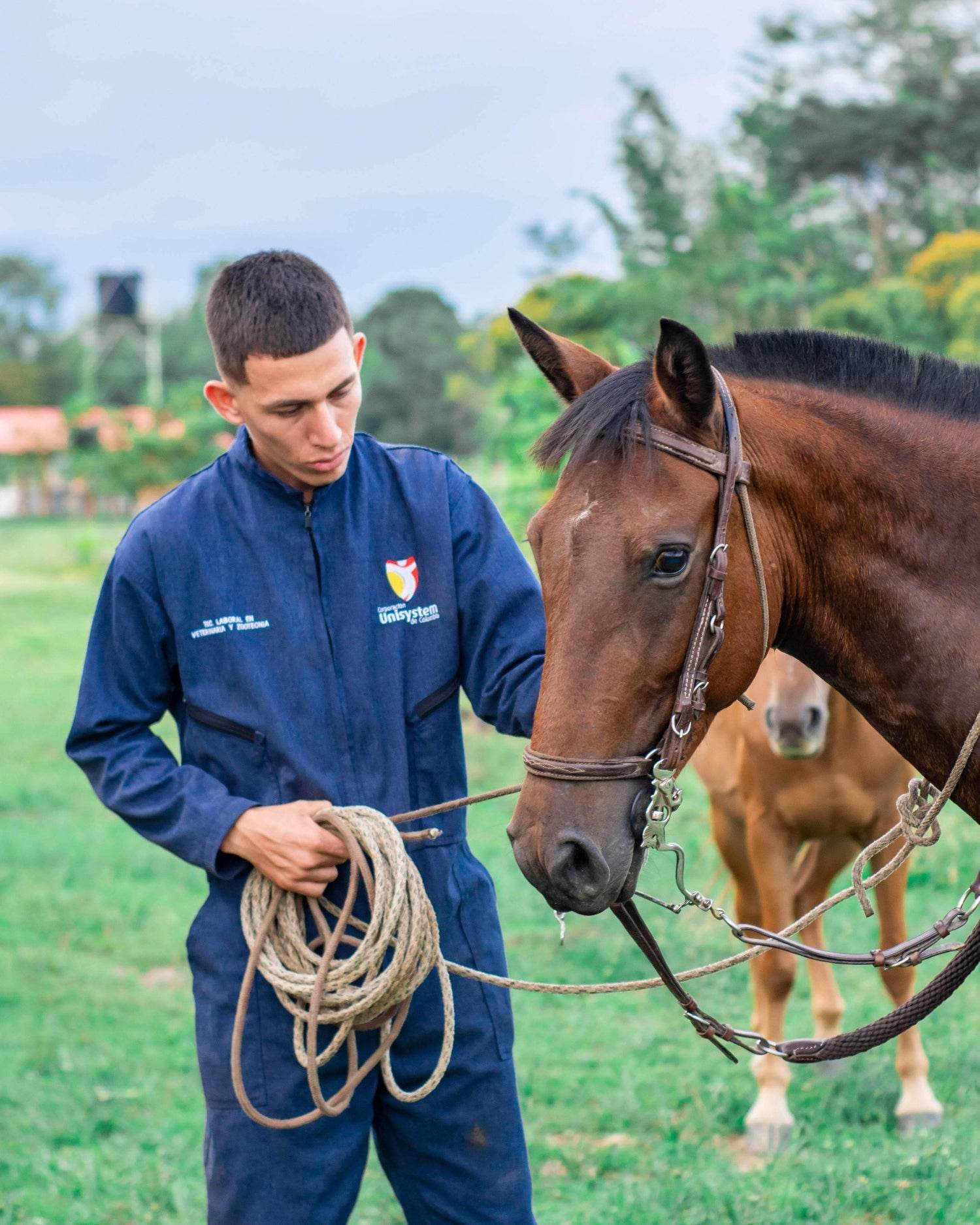 Técnico Laboral en Asistente de Veterinaria - Corporación Unisystem de Colombia