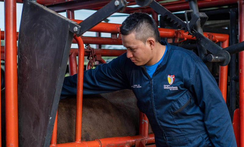 Técnico Laboral en Asistente de Veterinaria - Corporación Unisystem de Colombia