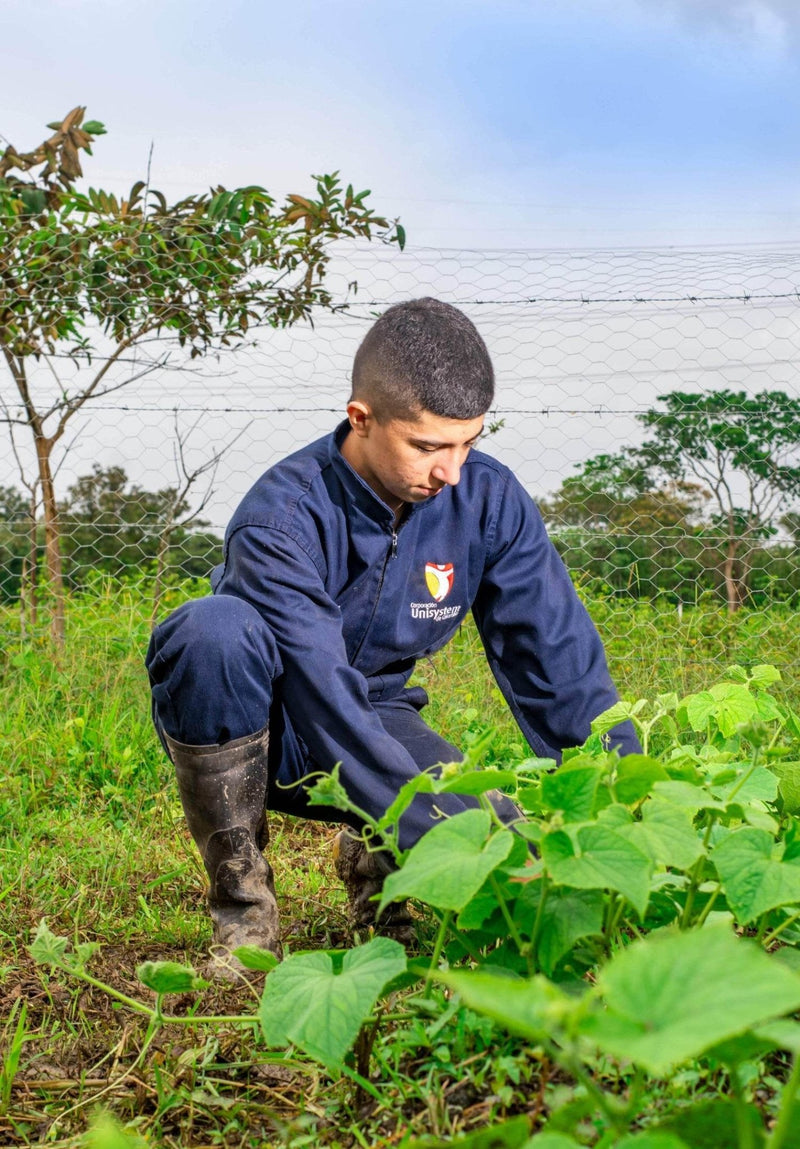 Técnico Laboral en Asistente de Veterinaria - Corporación Unisystem de Colombia