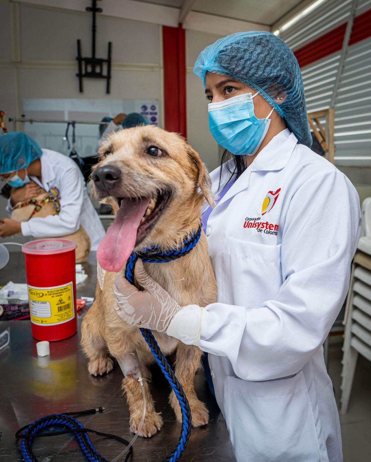 Técnico Laboral en Asistente de Veterinaria - Corporación Unisystem de Colombia