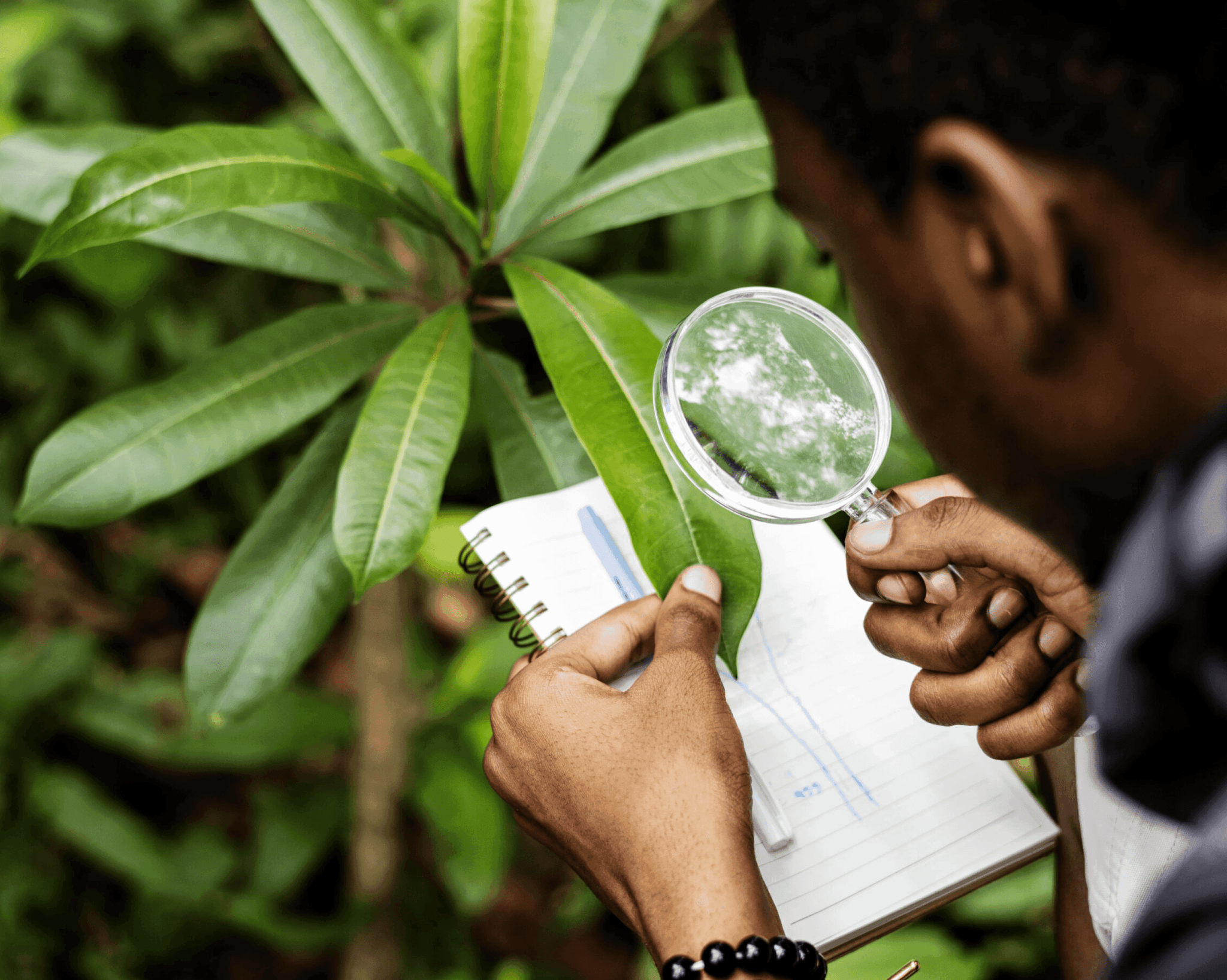 Técnico Laboral en Producción Agrícola (énf Agricultura Organica) - Corporación Unisystem de Colombia
