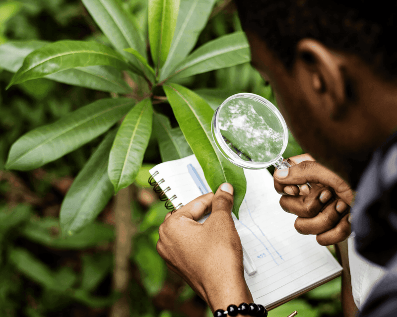 Técnico Laboral en Producción Agrícola (énf Agricultura Organica) - Corporación Unisystem de Colombia