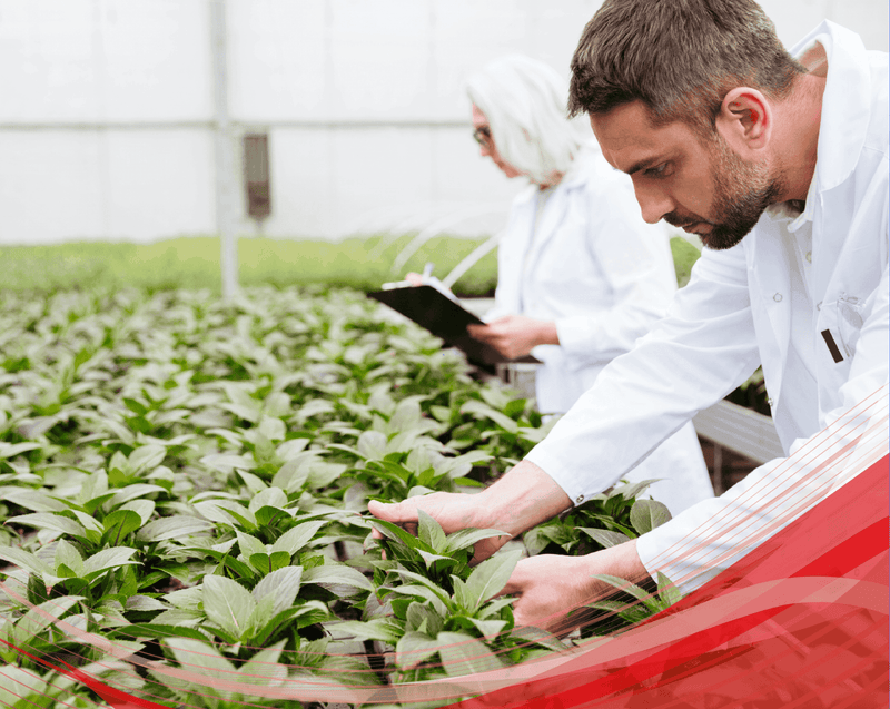Técnico Laboral en Producción Agrícola (énf Agricultura Organica) - Corporación Unisystem de Colombia