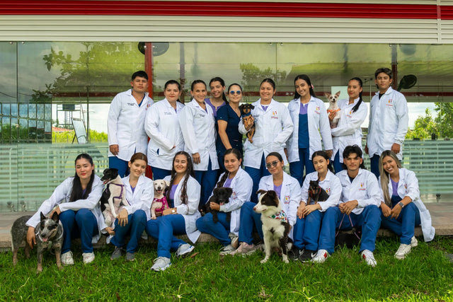Grupo de estudiantes de Unisystem en un espacio exterior.
